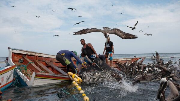 Pescadores de isla del norte de Venezuela - Sputnik Mundo