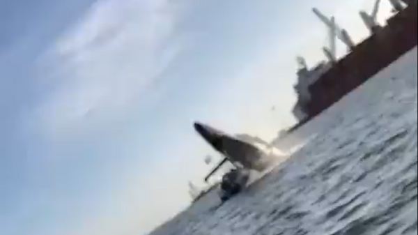Una ballena aplasta una lacha en Sinaloa - Sputnik Mundo