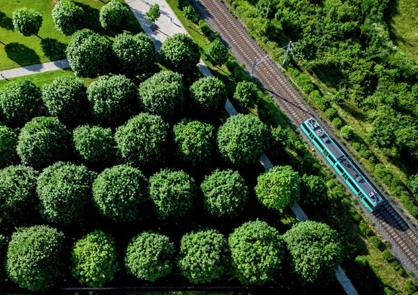 Una línea de metro que pasa por un parque de Fráncfort del Meno, en Alemania. - Sputnik Mundo
