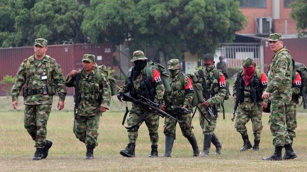La guerrilla colombiana Ejército de Liberación Nacional (ELN) (archivo) - Sputnik Mundo