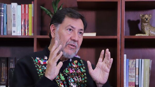 Gerardo Fernández Noroña, diputado federal del Partido del Trabajo y aspirante a la Presidencia de México - Sputnik Mundo