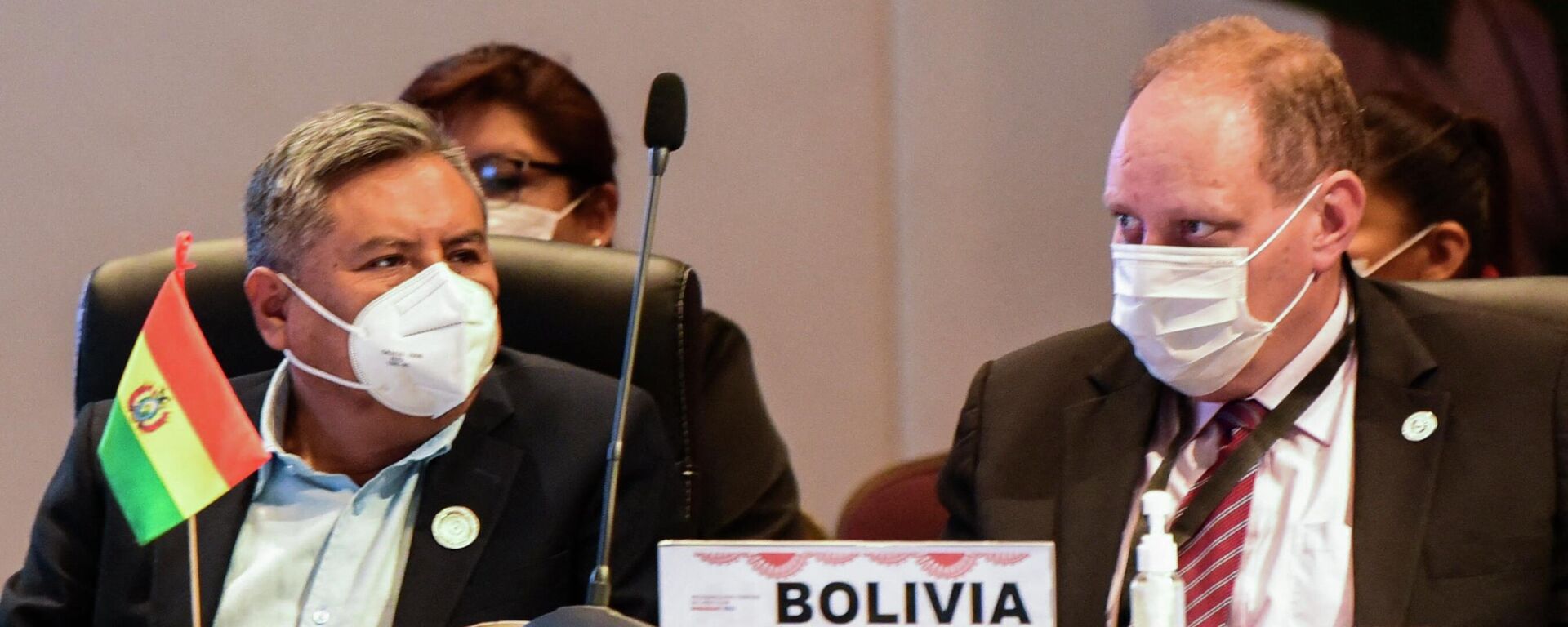 La delegación de Bolivia en el Cumbre de Mercosur - Sputnik Mundo, 1920, 23.07.2022