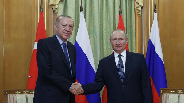 El presidente de Rusia, Vladímir Putin, y su homólogo turco, Recep Tayyip Erdogan  - Sputnik Mundo