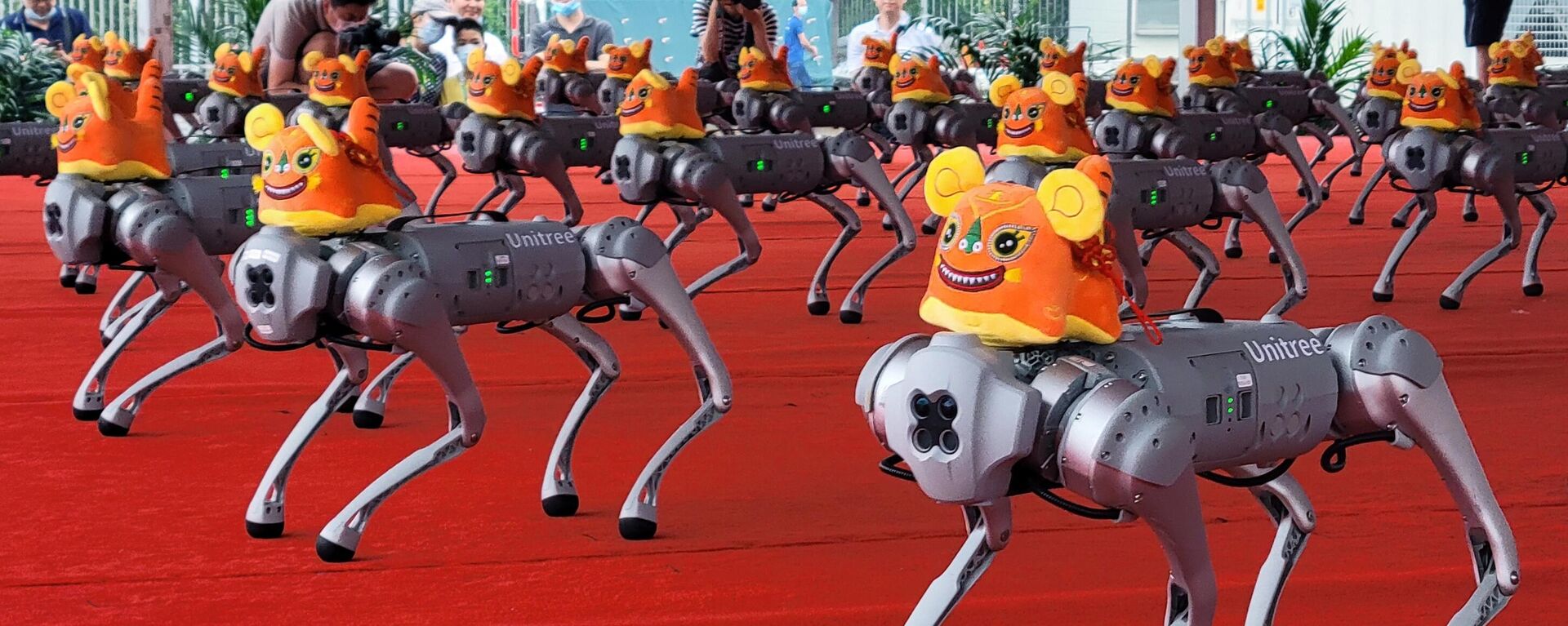 Cien perros robot de la empresa Unitree Robotics realizaron un baile en la Conferencia Mundial de Robots  - Sputnik Mundo, 1920, 18.08.2022