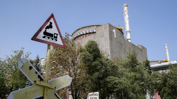 La planta central nuclear de Zaporozhie - Sputnik Mundo