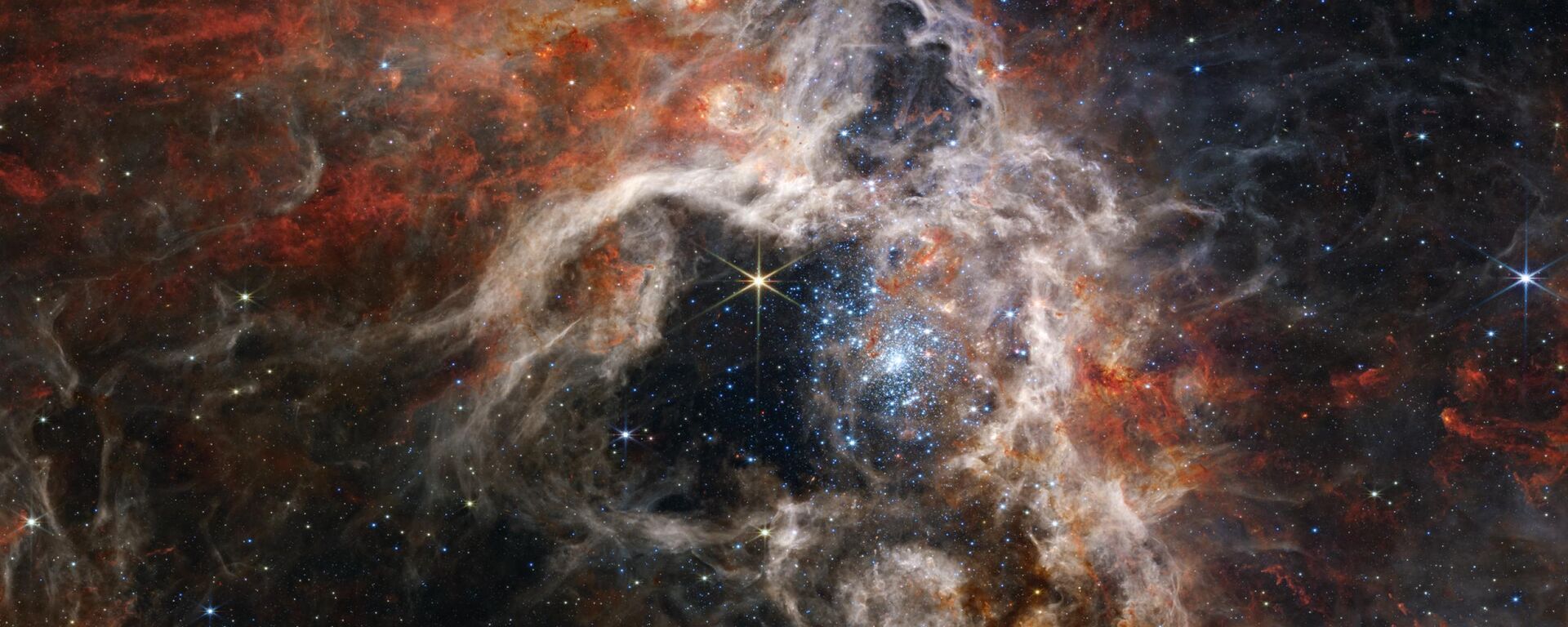 Tarántula cósmica captada por el telescopio James Webb. - Sputnik Mundo, 1920, 06.09.2022