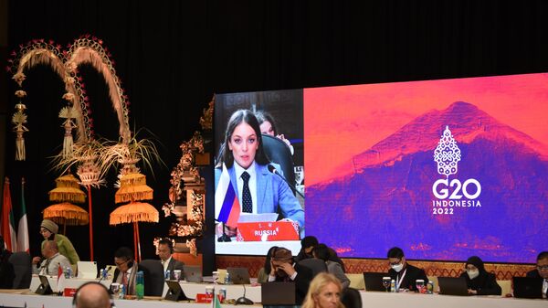 El discurso de la jefa de la Agencia Federal de Turismo de Rusia, Rosturism, Zarina Dogúzova, en la reunión del G20 - Sputnik Mundo
