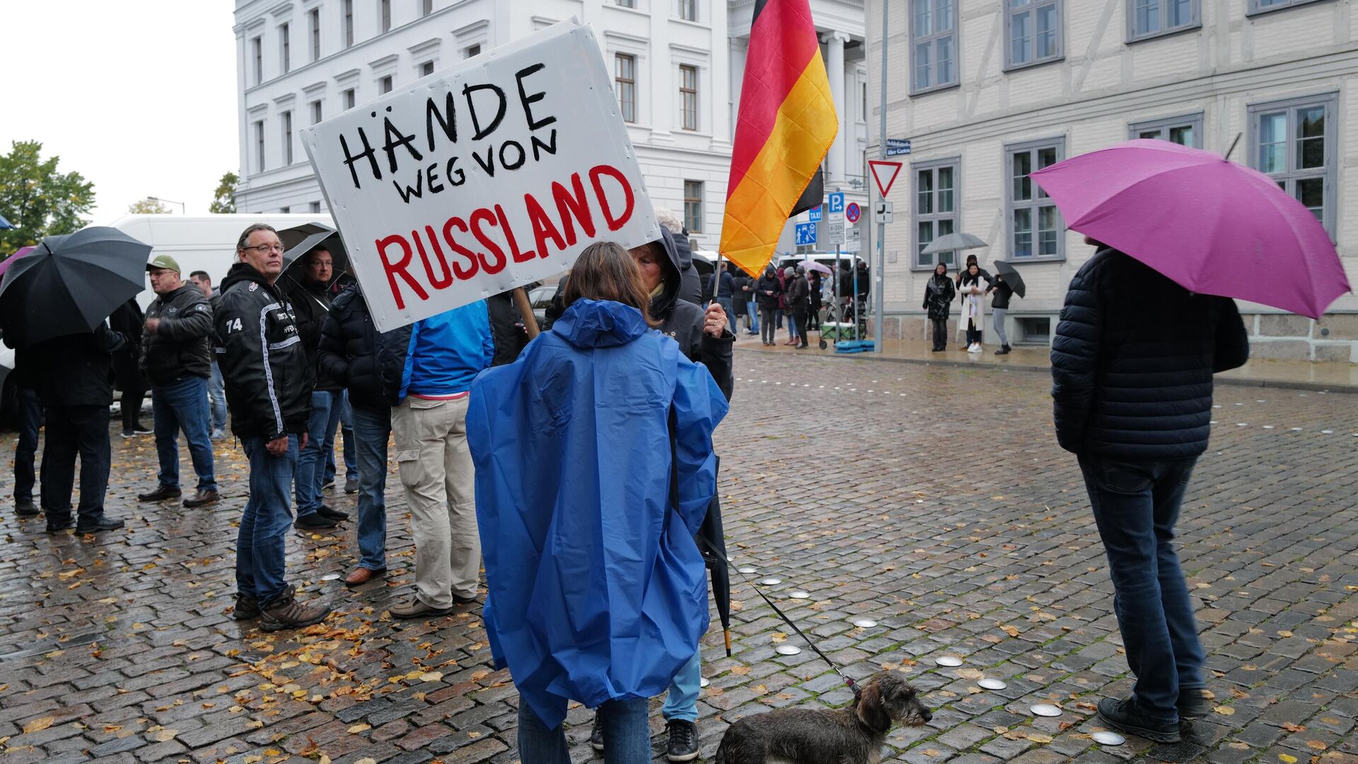 Мнения европейцев. Протесты в Германии. Митинги в Германии в поддержку России. Митинги в Германии против Украины. Протестующие в Германии.