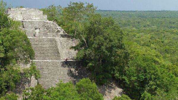 La ciudad maya de Calakmul, ubicada en el actual estado de Campeche, en el sureste mexicano. - Sputnik Mundo