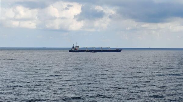 Un buque ucraniano con trigo en el mar Negro - Sputnik Mundo