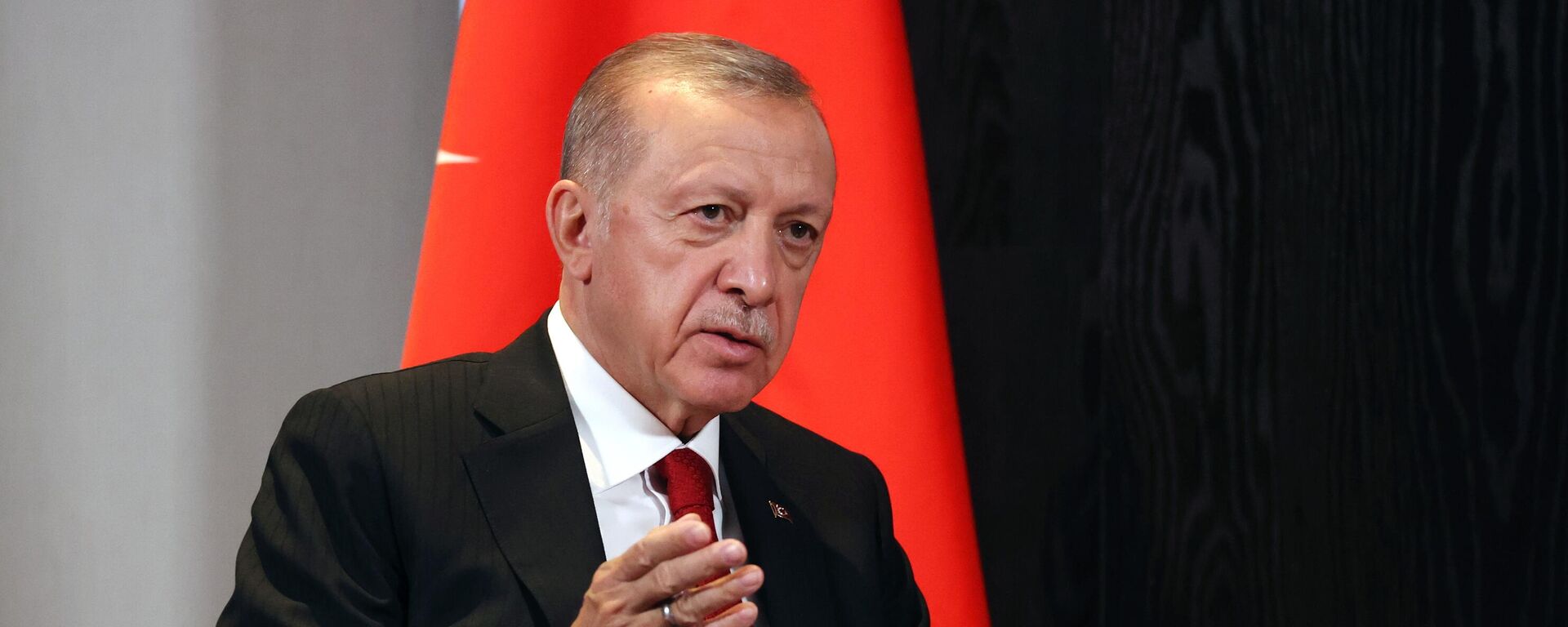 Recep Tayyip Erdogan, presidente de Turquía - Sputnik Mundo, 1920, 04.11.2022