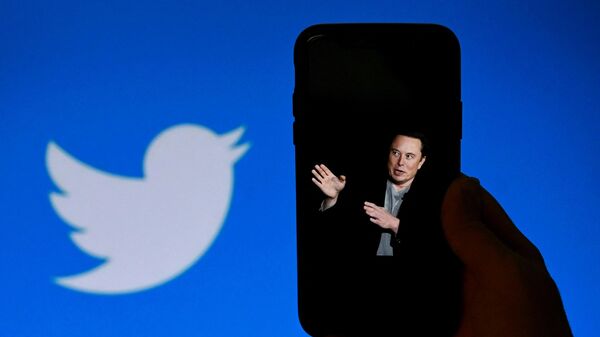 El magnate Elon Musk concretó en estos días la compra de Twitter - Sputnik Mundo