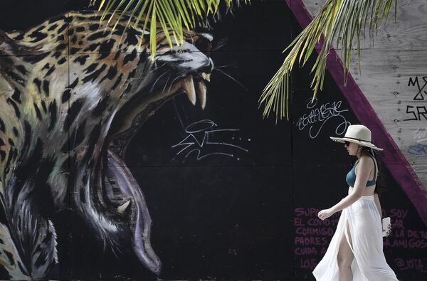 Un turista pasa por delante de un grafiti que muestra un jaguar en la isla de San Andrés, Colombia. - Sputnik Mundo