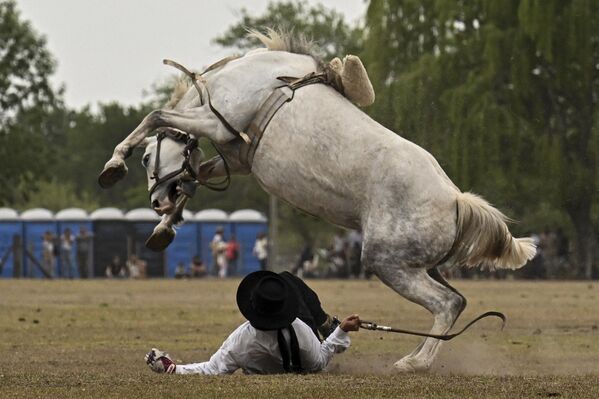 Concurso de equitación durante la tradicional Fiesta Nacional del Gaucho en San Antonio de Areco, Argentina. - Sputnik Mundo
