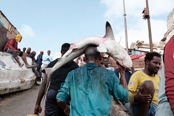 Un pescador muestra un tiburón que capturó en la ciudad de Mogadiscio, Somalia. - Sputnik Mundo
