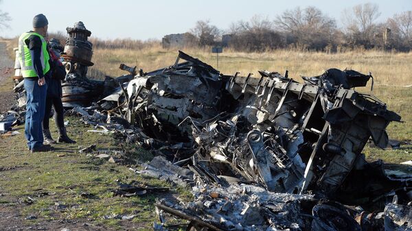 El lugar del derribo del vuelo MH17 (archivo) - Sputnik Mundo