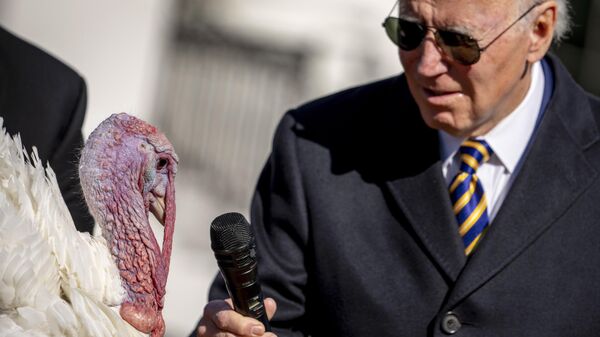 El presidente de EEUU, Joe Biden, sostiene el micrófono ante un pavo en el Día de Acción de Gracias - Sputnik Mundo
