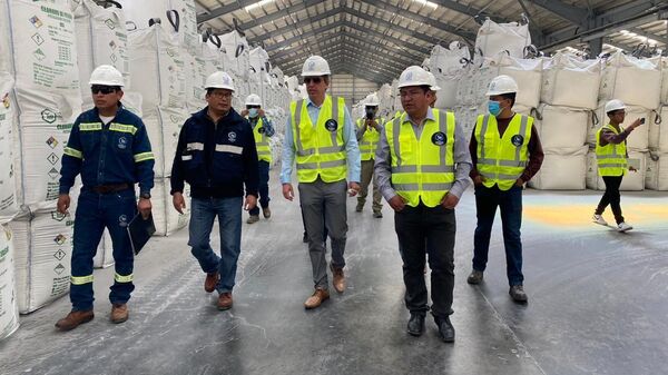 Diplomáticos de Bolivia y Suecia visitan complejo industrial de litio en Potosí  - Sputnik Mundo