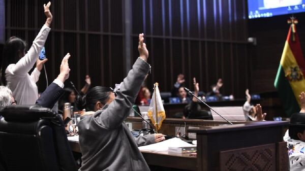 Votación en el Senado de Bolivia - Sputnik Mundo