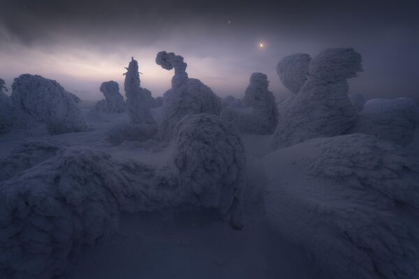La foto Congelado de Koki Dote ganó en la categoría de paisaje de nieve y hielo. - Sputnik Mundo