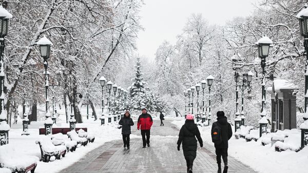 Un parque de Moscú tras la fuerte nevada. - Sputnik Mundo