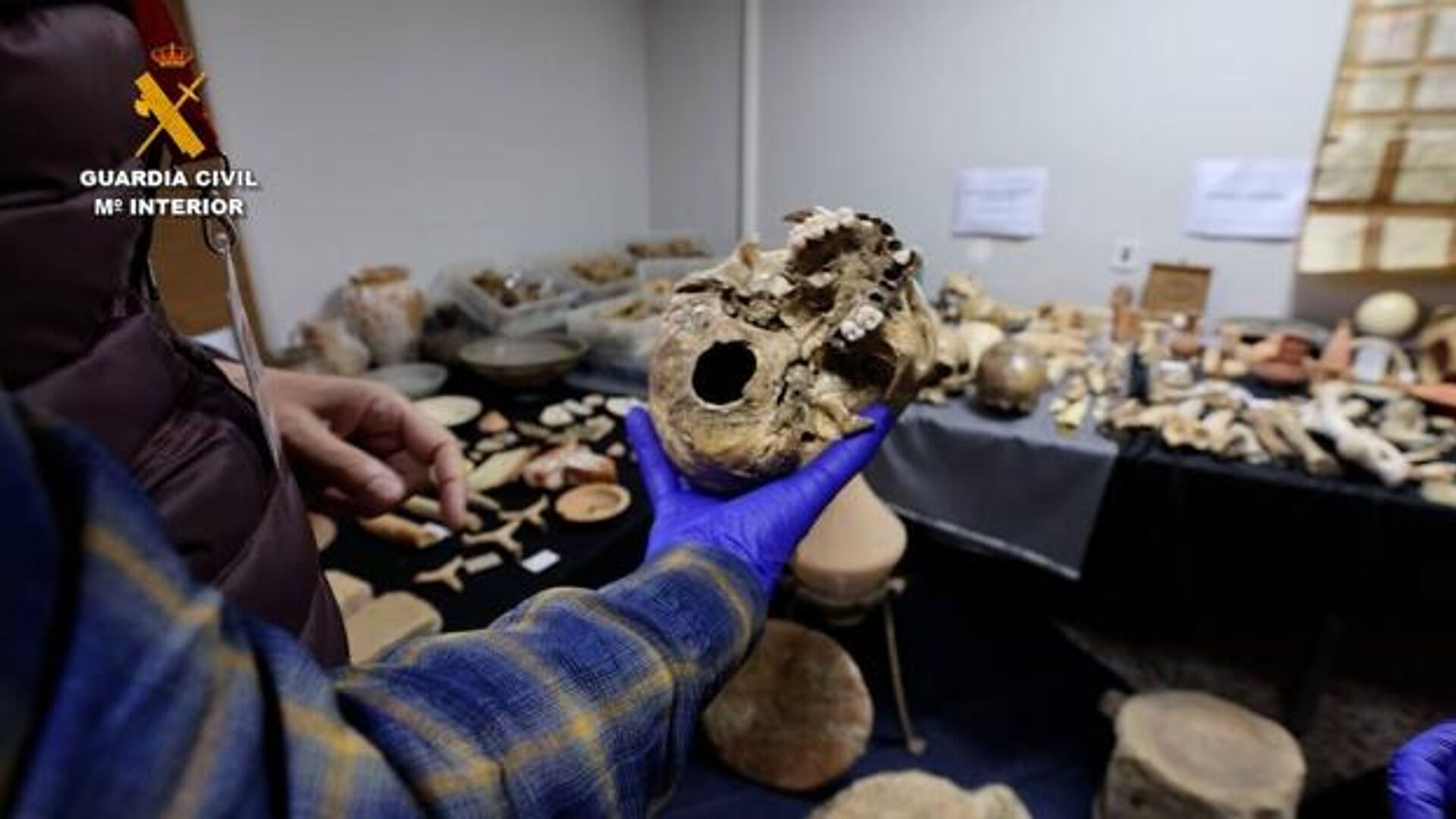 Restos óseos de una de las mayores colecciones arqueológicas ilegales de la provincia de Alicante - Sputnik Mundo, 1920, 30.12.2022