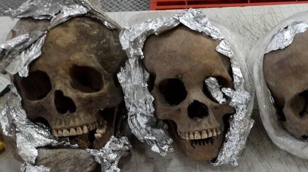 Cráneos localizados en el aeropuerto de Querétaro, México - Sputnik Mundo