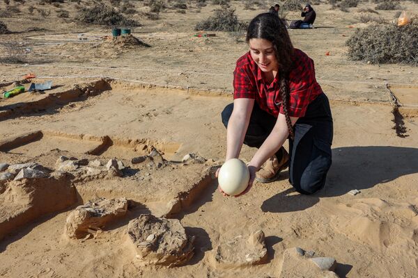Arqueólogos de la Autoridad de Antigüedades de Israel descubrieron las cáscaras de ocho huevos de avestruz junto a un pozo de fuego en el desierto. Uno de los huevos estaba en la propia hoguera.En la foto: un arqueólogo muestra un huevo de avestruz fresco para compararlo con los fragmentos hallados. - Sputnik Mundo