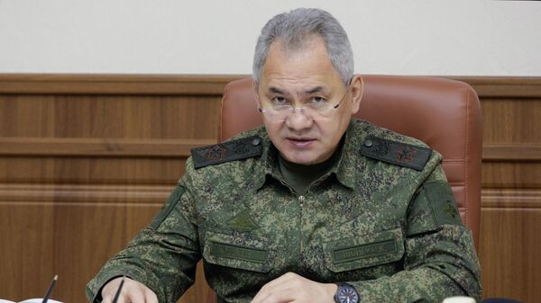  El ministro ruso de Defensa, Serguéi Shoigú - Sputnik Mundo