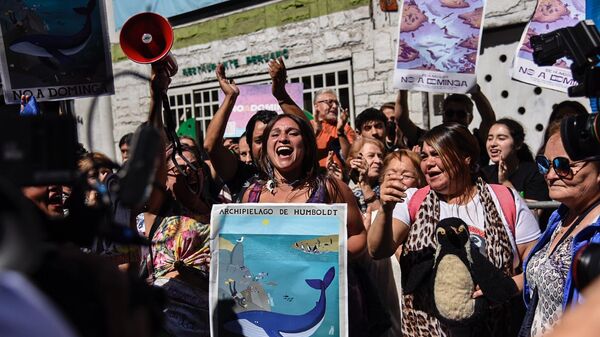 Ambientalistas en Chile celebran rechazo de proyecto minero en el norte del país - Sputnik Mundo