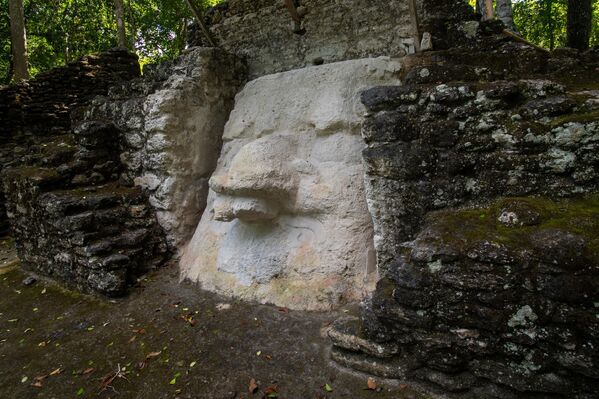 El escáneo láser reveló 60.000 estructuras mayas hasta ahora desconocidas ocultas en la selva de Guatemala, en una superficie de 170.000 hectáreas. La mayoría de las estructuras datan del periodo comprendido entre el año 1000 a.C. y el 250 d.C.En la foto: los restos del complejo La Danta en la antigua ciudad de El Mirador, en el norte de Guatemala. - Sputnik Mundo