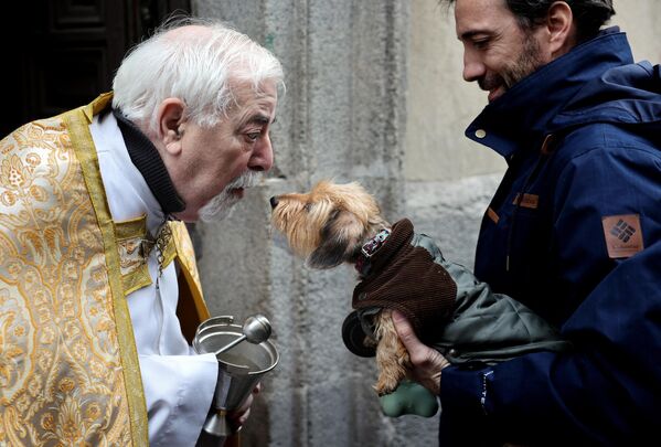 Un sacerdote bendice a un perro durante el día de San Antonio en la capital española de Madrid. - Sputnik Mundo