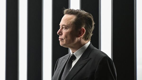 Elon Musk, CEO de Tesla  - Sputnik Mundo
