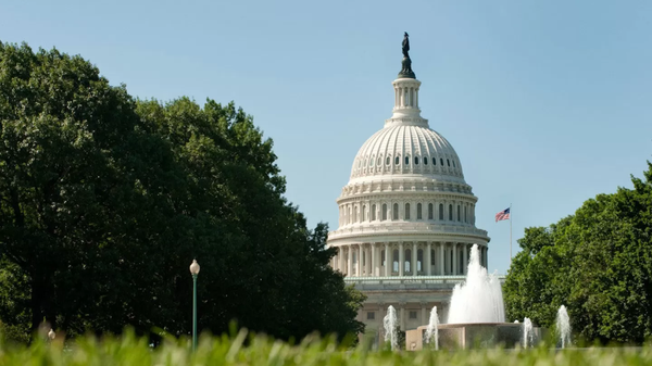 La sede del poder legislativo federal estadounidense en Washington D. C. - Sputnik Mundo