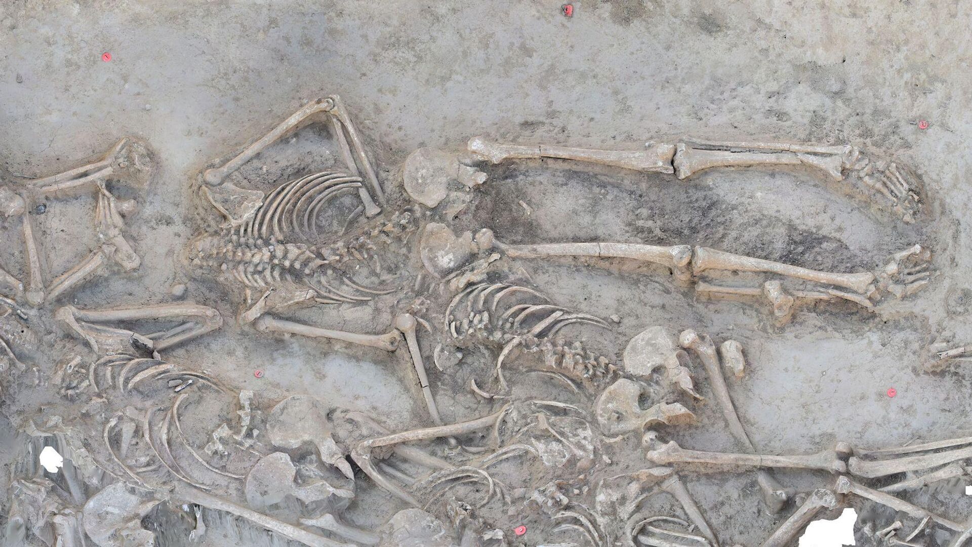 una fosa común de 7.000 años de antigüedad con decenas de personas decapitadas tras la muerte - Sputnik Mundo, 1920, 25.01.2023