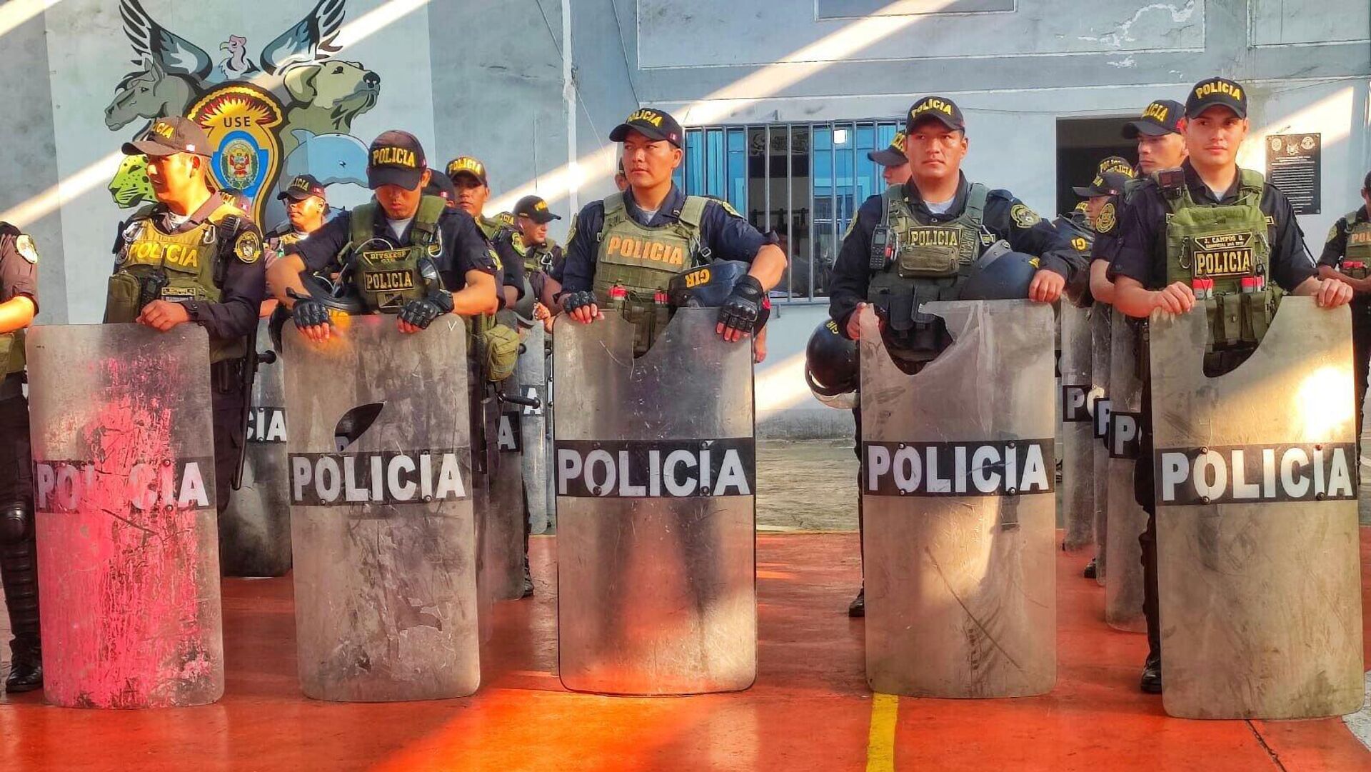 Elementos policiacos peruanos exhiben afectaciones a su equipo derivadas de las protestas. - Sputnik Mundo, 1920, 03.02.2023