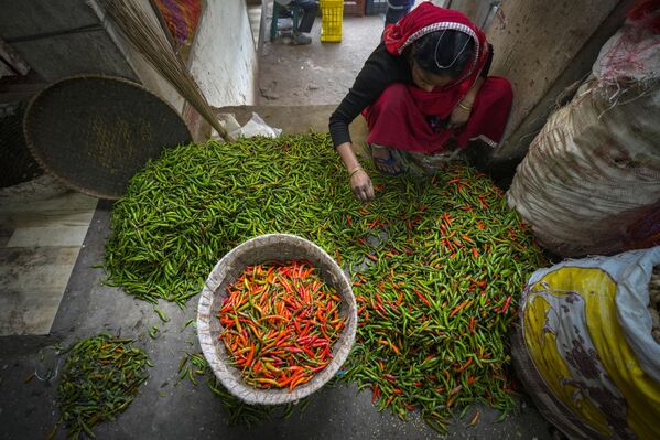 Una mujer clasifica pimientos picantes en un mercado mayorista de verduras en Guwahati, la India. - Sputnik Mundo