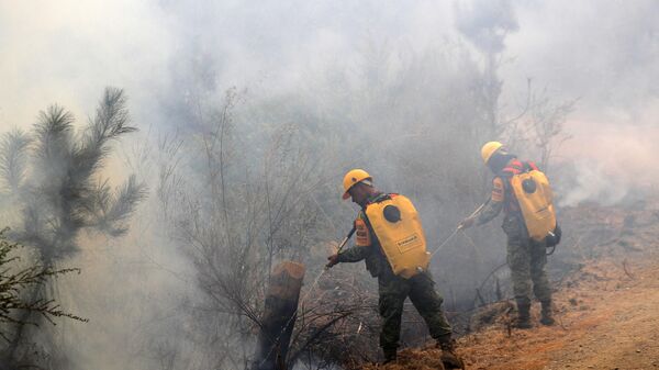 Miembros de la Unidad Militar Mexicana combaten incendios forestales en Santa Juana, Provincia de Concepción, en Chile, el 8 de febrero de 2023 - Sputnik Mundo