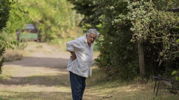 El expresidente uruguayo José Mujica en su chacra en Montevideo - Sputnik Mundo