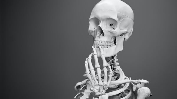Parte del esqueleto humano (Imagen referencial) - Sputnik Mundo