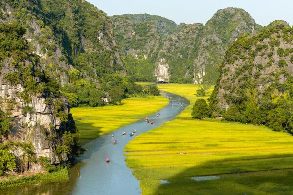 El río Ngo Dong atraviesa los arrozales de Vietnam y su curso es muy pintoresco y cambia de color según la estación. - Sputnik Mundo
