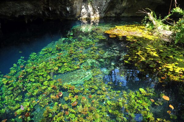 La cueva subterránea de Sac Actún (en maya, &quot;cueva blanca&quot;) se encuentra en el norte de la península de Yucatán, en México, a sólo 7 km del popular balneario de Tulum. Las cuevas de Sac Actún son las segundas más largas del mundo después de las de Mammoth, en Estados Unidos. Tienen 176 km de longitud. No hay peces en las cuevas y, debido a la alta concentración de sales minerales, tampoco hay insectos. Sin embargo, las paredes de las cuevas están frecuentadas por murciélagos, que aterrorizan a los turistas inexpertos. En la foto: Gran Cenote, que es la entrada principal al sistema de cuevas de Sac Actún. - Sputnik Mundo