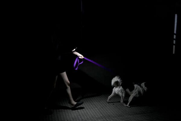 El encendido masivo de los aparatos de aire acondicionado ha provocado cortes de electricidad. Miles de hogares se quedaron sin servicio eléctrico.En la foto: una mujer y su perro en una calle de Buenos Aires durante el apagón. El encendido masivo de los aparatos de aire acondicionado ha provocado cortes de electricidad. Miles de hogares se quedaron sin servicio eléctrico.En la foto: una mujer y su perro en una calle de Buenos Aires durante el apagón. - Sputnik Mundo