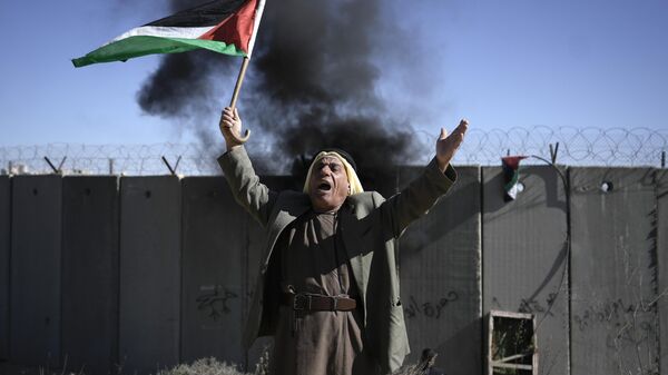 Un palestino ondea la bandera palestina durante una manifestación contra un nuevo asentamiento israelí en el pueblo de Qalandia, el 20 de enero de 2023  - Sputnik Mundo