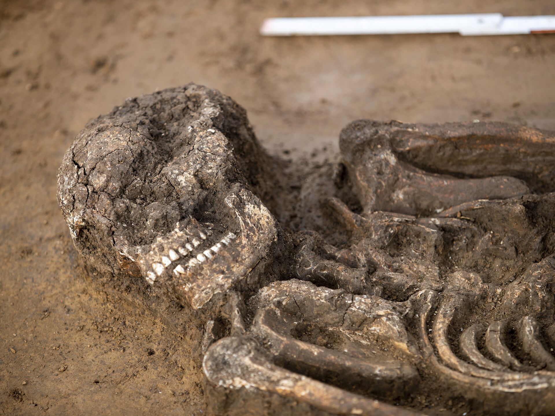 археологи нашли сохранившийся. археологи нашли сохранившийся. археологи нашли сохранившийся. первые раскопки помпеи. оглахтинский могильник хакасия.