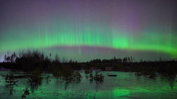 La aurora boreal en la provincia de Leningrado - Sputnik Mundo