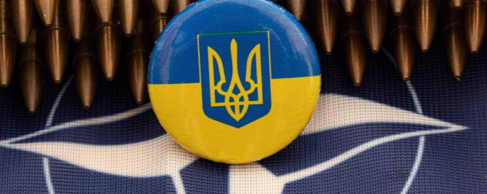 Não haverá mais entregas de armas para Kiev' com novo governo dos Países  Baixos, diz analista - 17.12.2023, Sputnik Brasil