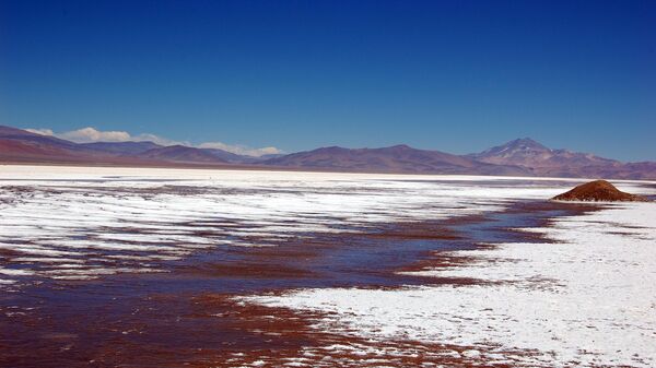 Salar de Maricunga, región de Atacama, Chile - Sputnik Mundo