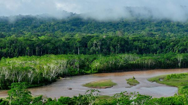 Parque Nacional Madidi en la Amazonia boliviana - Sputnik Mundo