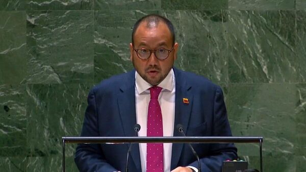 El embajador alterno de Venezuela ante la ONU, Joaquín Pérez - Sputnik Mundo